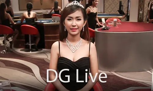 AP Gaming Provider